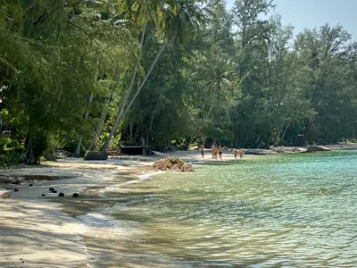 Coconut Beach Bungalows – 照片 4