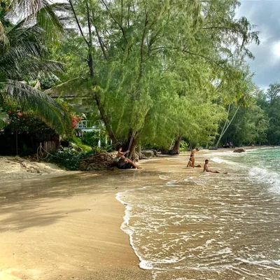 Coconut Beach Bungalows – 照片 10
